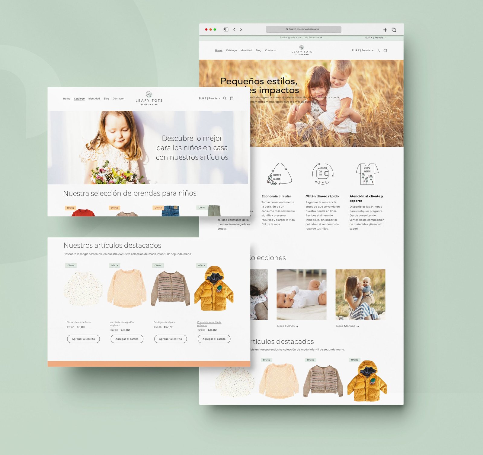 Shopify website creation